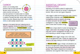 Everything You Need to Ace Biology in One Big Fat Notebook - The English Bookshop Kuwait
